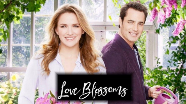 21762886_1774688092561984_3254295521769370067_o