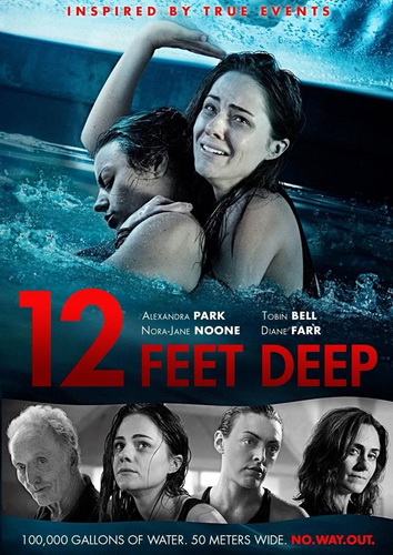 22050140_1782360748461385_5305718053690166976_n