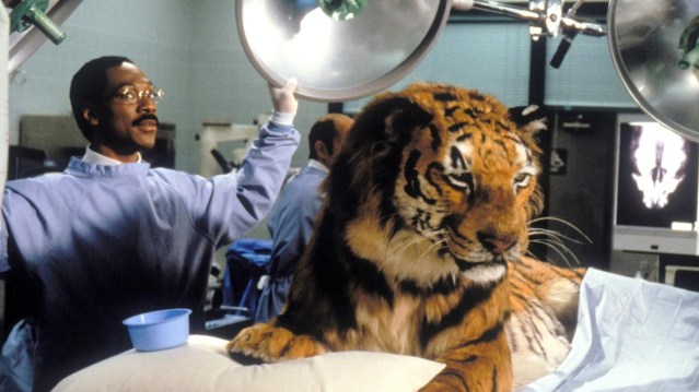 dc0ZIR15UZ3g_1BL3kwpHICwcssejR6DRH2sdfHDHE_2SFgZigSlM4nu-SOf7fSjHObghiTVbv3XFxYrSmm7sNeKcgl-S2XF0b9sB_IwsbI