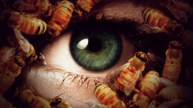 uI1yzYLZaYaD8CvHRnJklt24LhY