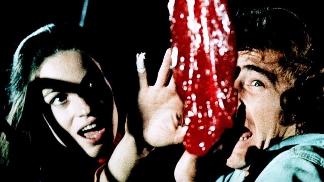 v1.bjs2NDUzNzk7ajsxNzgyNzsxMjAwOzE1Mjg7MTE0Ng