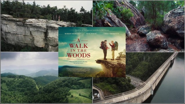 14567592_1343710682326396_6822566410837963518_o