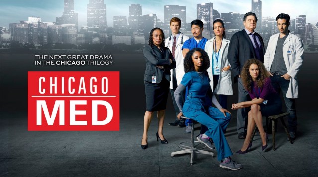 20934835_1742149262482534_6945961910603857618_o