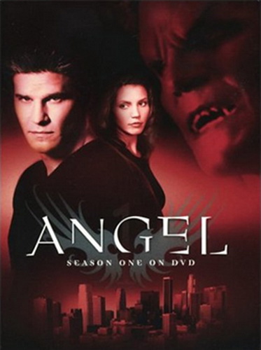 Angel_DVD_Season_(1)